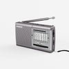 XHDATA D219 AM/FM/SW 12 Bands Radio Pocket Shortwave Receiver for Home or Travel Silver
